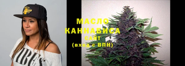 индика Касимов