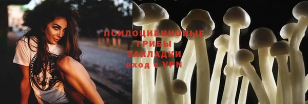 стаф Киреевск