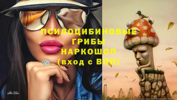 a pvp Кинешма