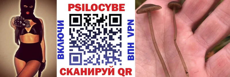 OMG ССЫЛКА  Лабинск  Псилоцибиновые грибы Magic Shrooms  наркотики 